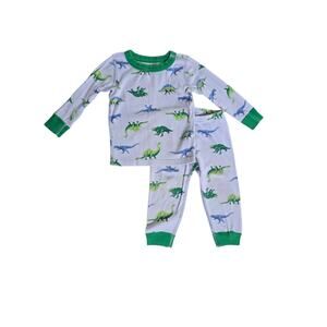 Hanna Andersson Moon and Back Green Dinosaur Long John Pajama's 18-24 Months